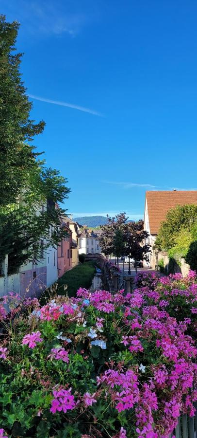 Le Cocon Du Rimbach Apartment Soultz-Haut-Rhin Exterior photo